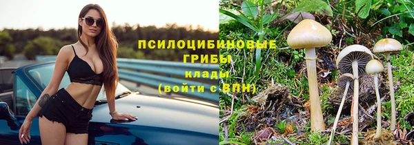 гидропоника Аркадак