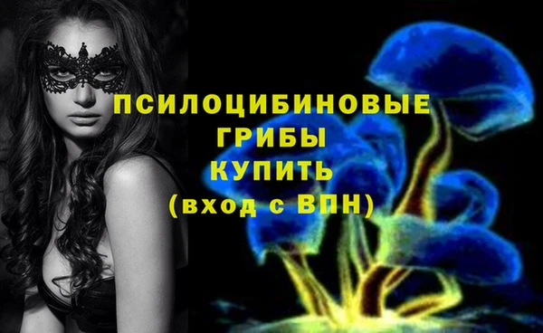 гидропоника Аркадак