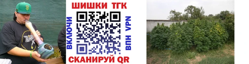 купить наркотик  Болгар  Бошки Шишки индика 